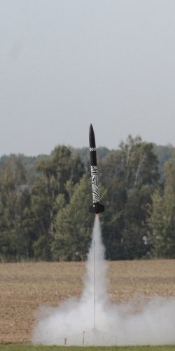 Marty Jojo Homola - let